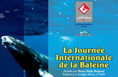 دراسة الحيتانيات في تونس وتقديم الشبكة الوطنية لدراسة شحوط الحيتانيات