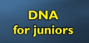 Winter school: DNA for juniors 1st session 